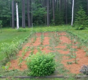 Encouraging you to permit no weeds in your life garden on Near a River.