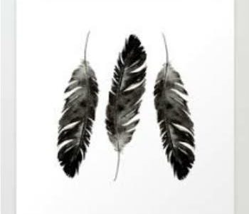 Encouraging you to live by these three feathers on Near a River.