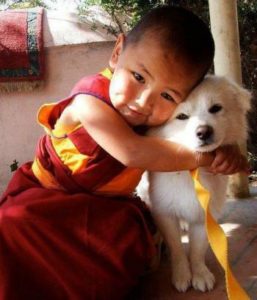 toddler hugging dog on near a river.