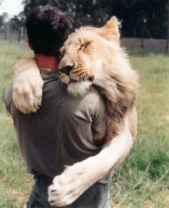 Man and lion hugging on near a river.