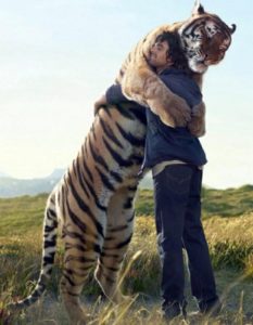 Tiger hugging man on near a river.