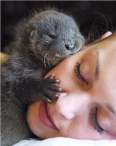 Weasel hugging woman on near a river.