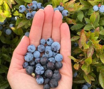 Encouraging you to eat healthy and pay attention on near a river.